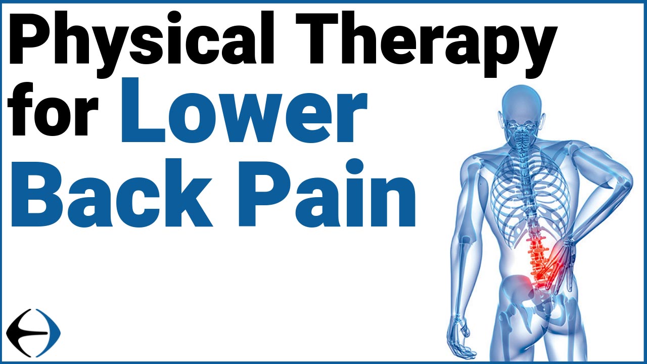 How to Treat Lower Back Pain - PT Effect